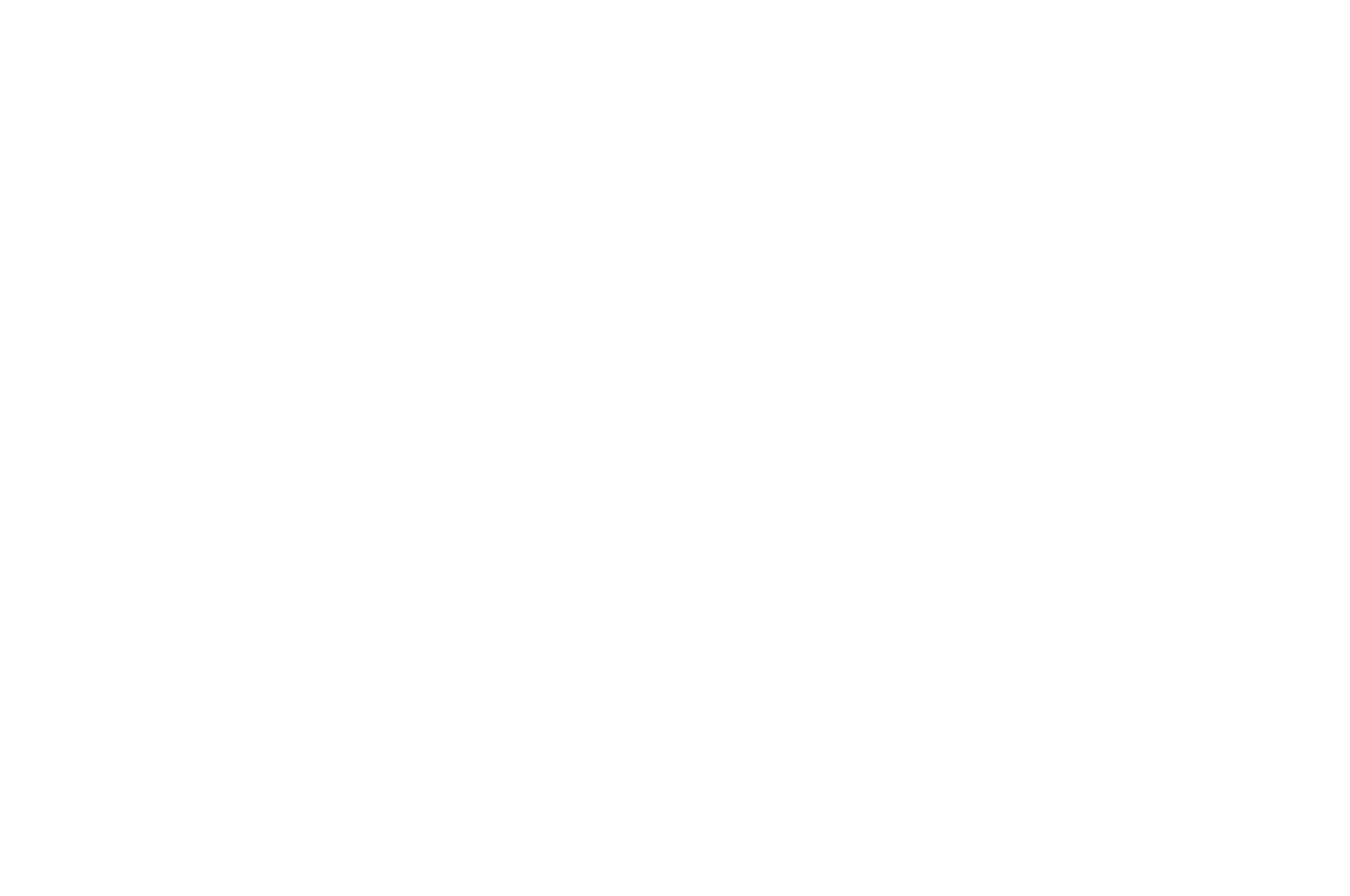 Award Winner – Silver Screen Film Festival 2026